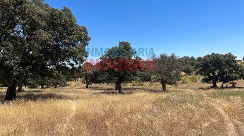Foto 5 de Casa o xalet en venda a Alía, Cáceres