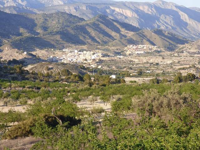 Terreno residencial en Venta en Partida Foia del Riu en Relleu