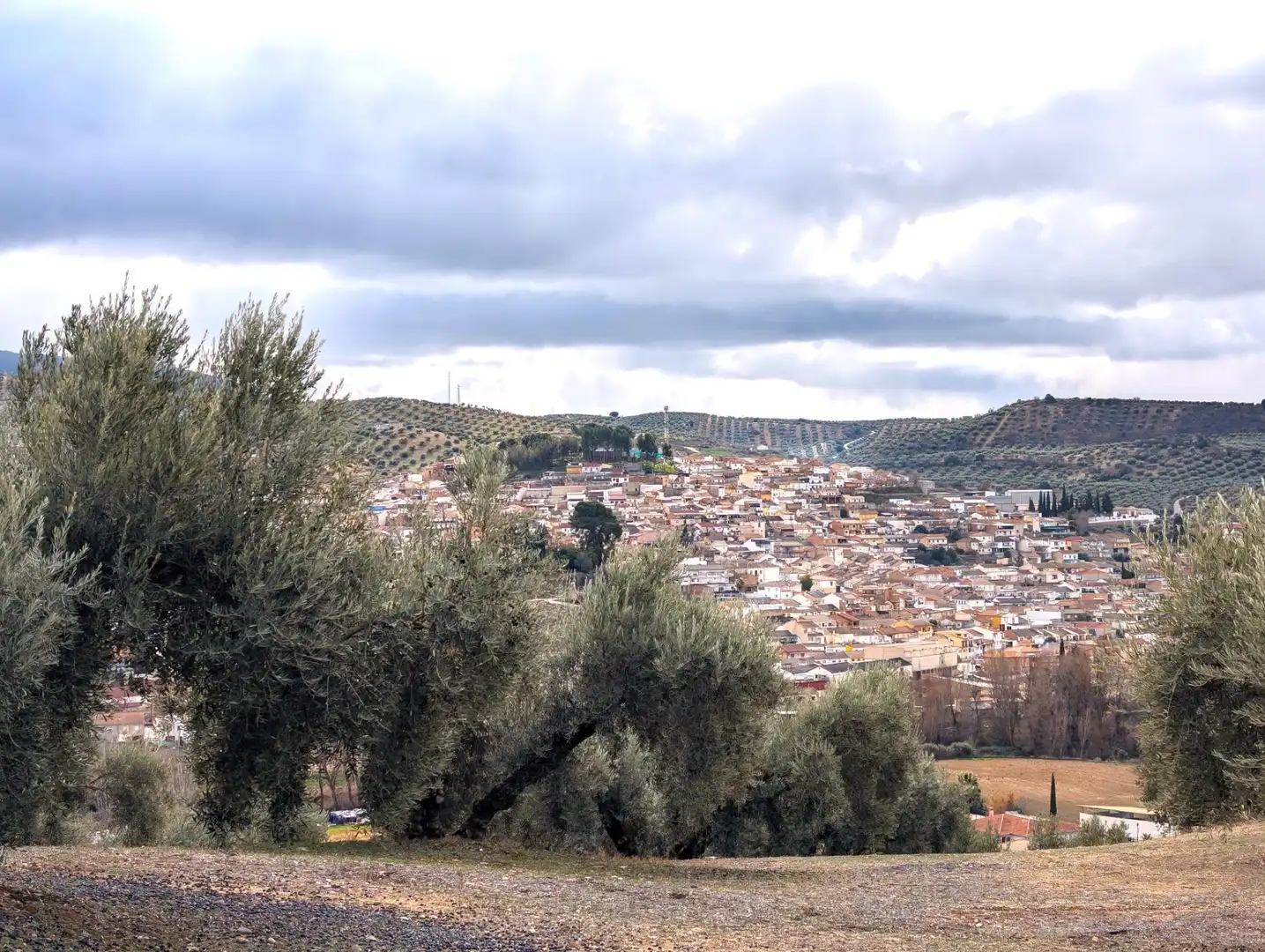 Rustikales Grundstück zum Verkauf in Camino del Vado, imagen 4