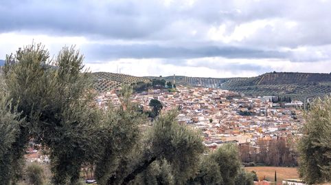 Terreno en Venta en Deifontes con proyecto de inversión, immagine 4