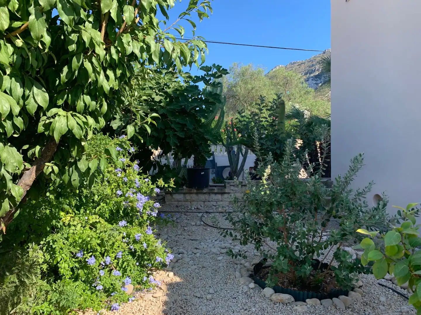 Maison avec piscine à vendre à El Montgó, imagen 49