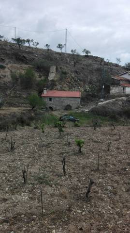 Terreno en Venta en Tahal