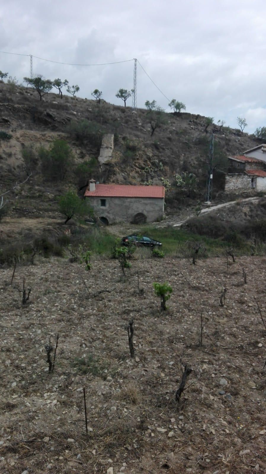 Exterior view of Land for sale in Tahal