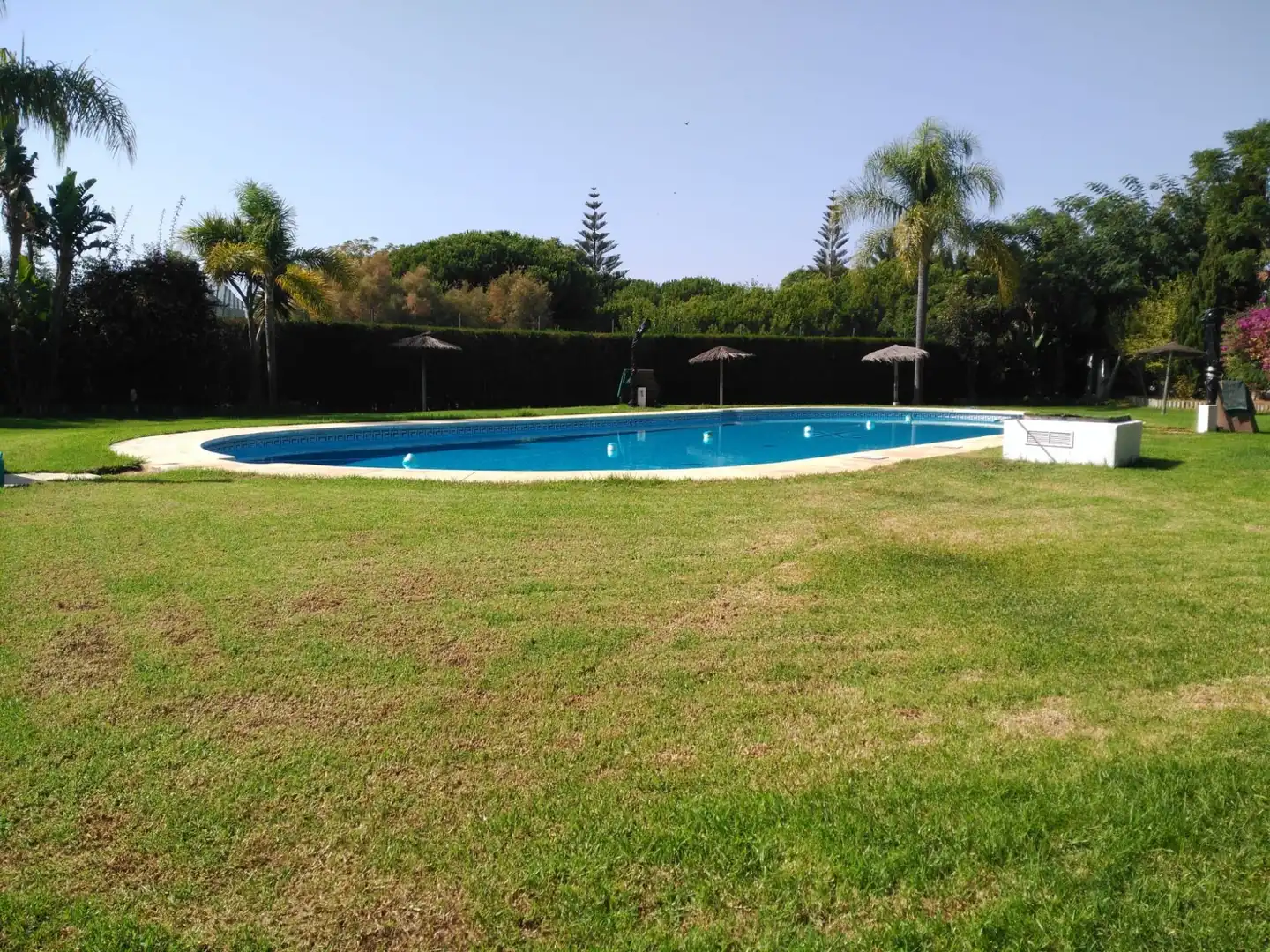 Apartment with pool to rent in Calle Jaén 38