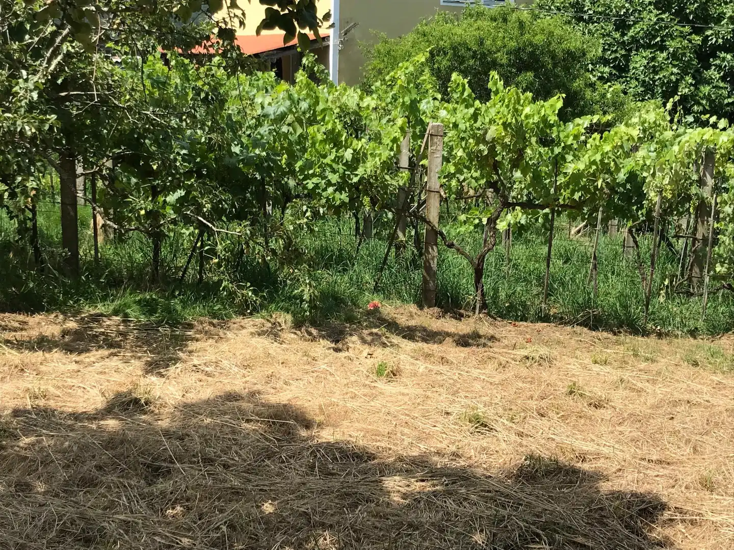 Maison à vendre à Porto do Son, imagen 32