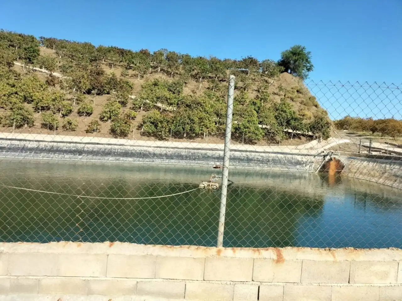 Terreny rústic en venda a Vélez-Málaga ciudad, imagen 14