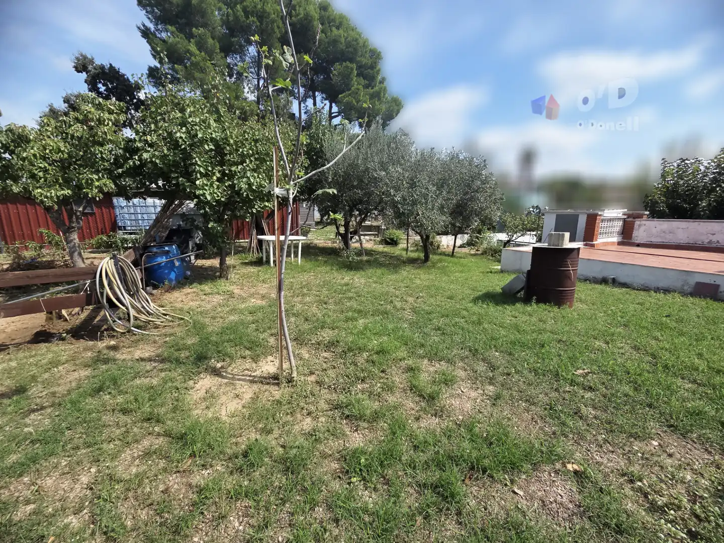 Terreny rústic en venda a Abrera, imagen 4