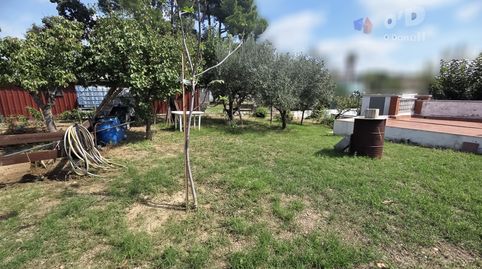 CASA DE 37 M2 CON PARCELA LLANA DE 425 M2, image 4