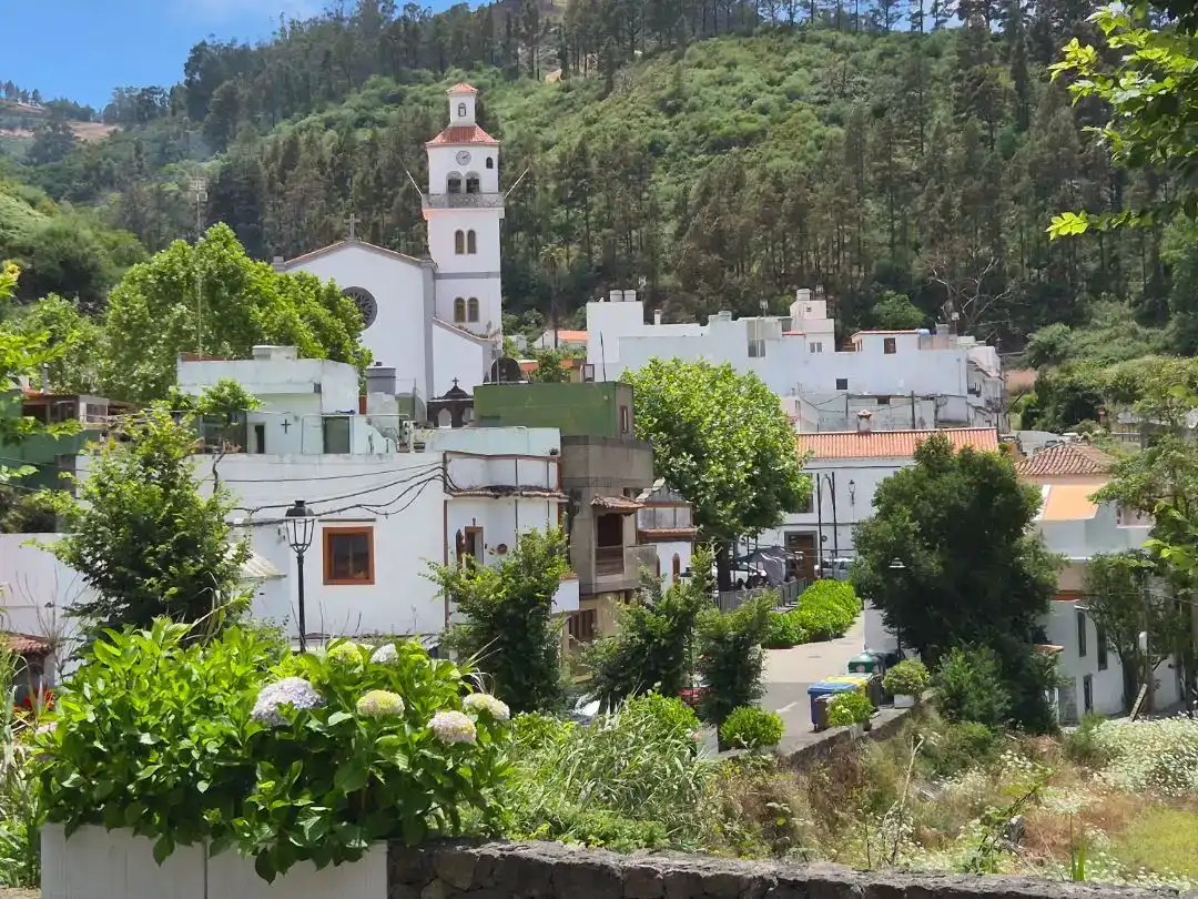 Vista exterior de Planta baixa en venda en Moya (Las Palmas) amb Jardí privat, Parquet i Traster