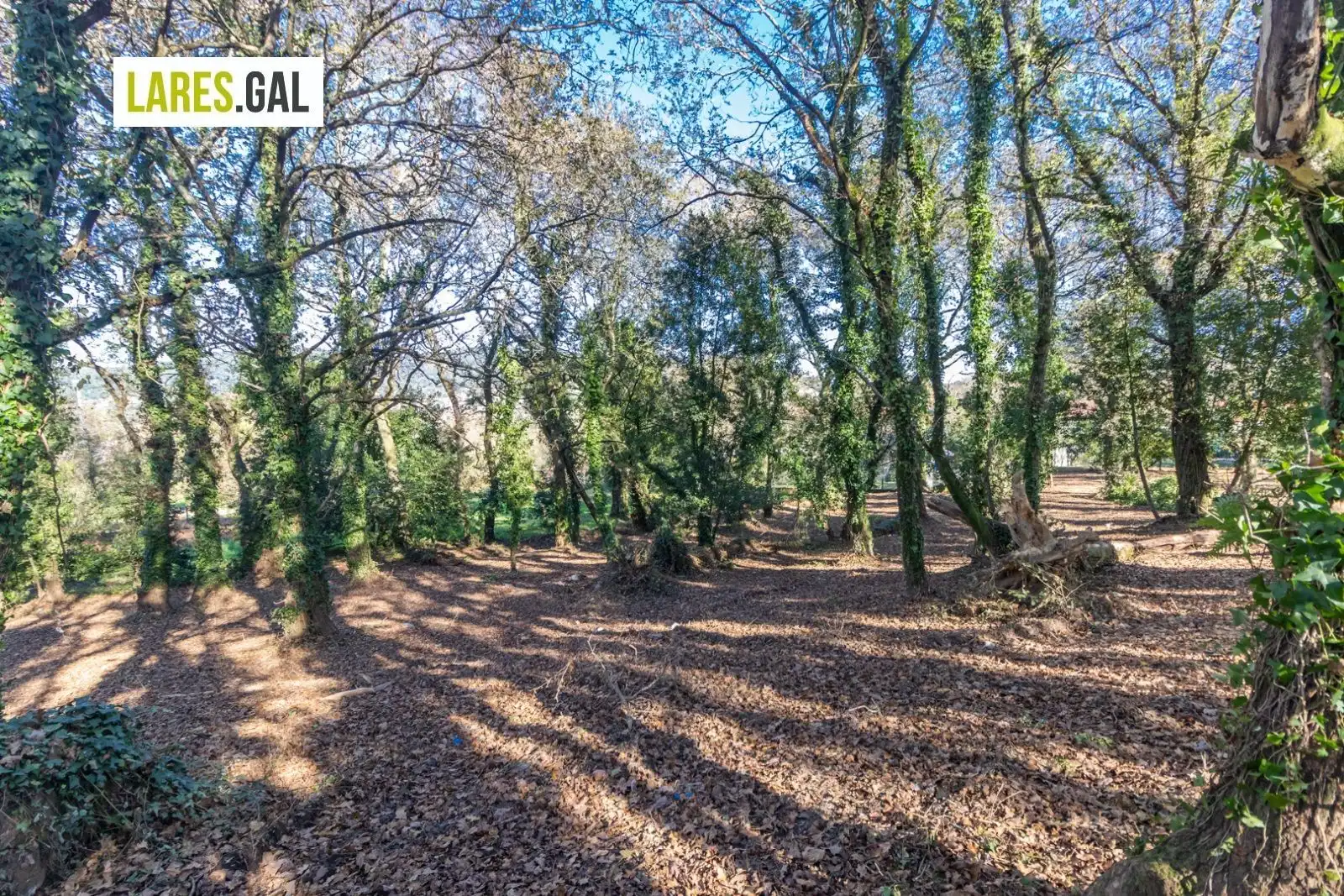 Lands and plots for sale in Rúa Ximeu, imagen 8