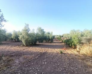 Finca rústica en venda en Antequera