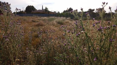 Photo 5 of Land for sale in Sangonera la Seca, Murcia Capital