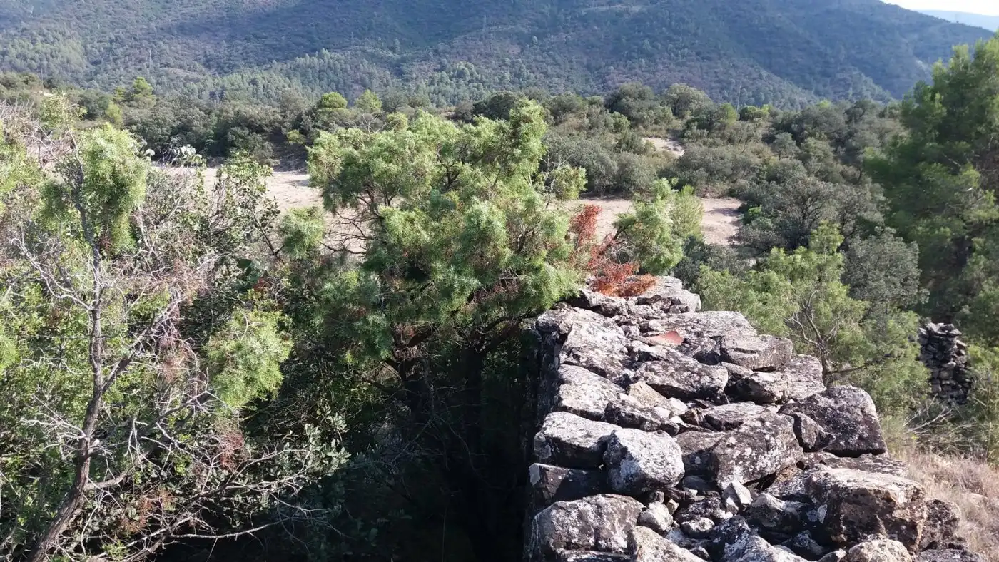 Terreno rustico in vendita a Àger, imagen 8