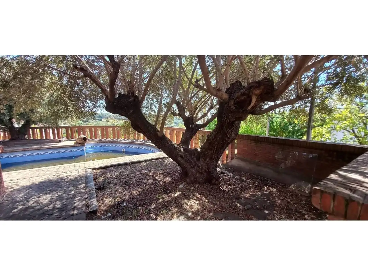 Jardí de Casa o xalet en venda en Caldes de Montbui amb Terrassa i Piscina