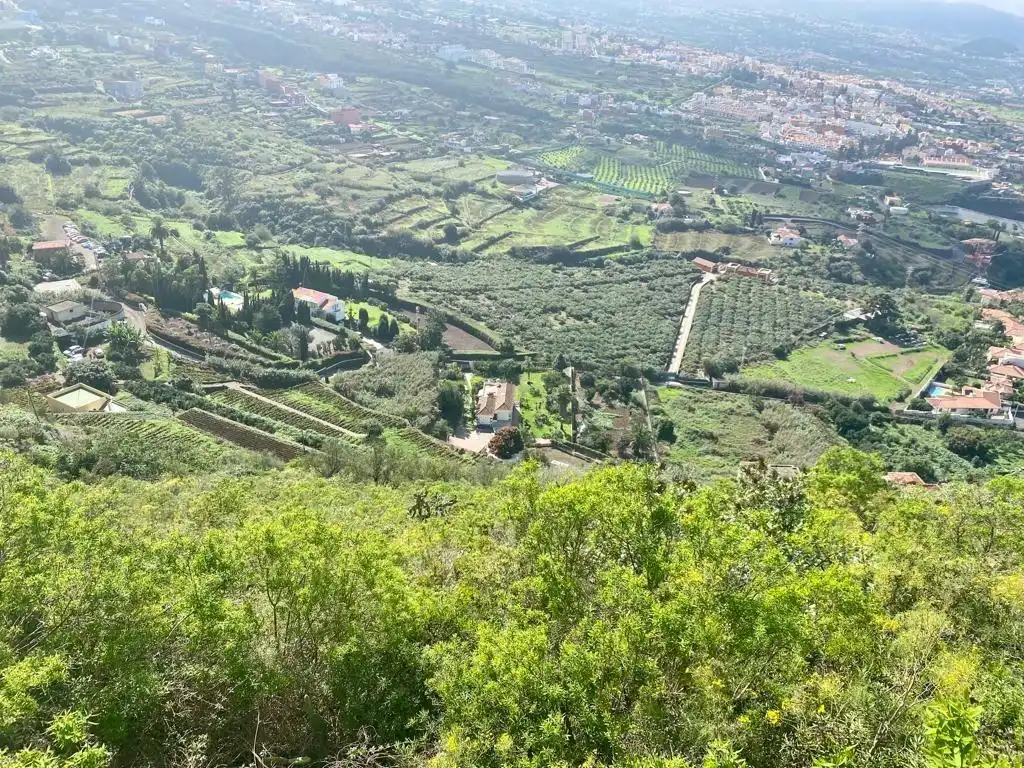 Country homes for sale in La Orotava  with Alarm