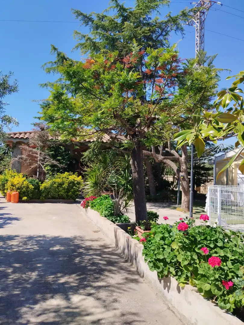 Casa o xalet en venda a Madrigal