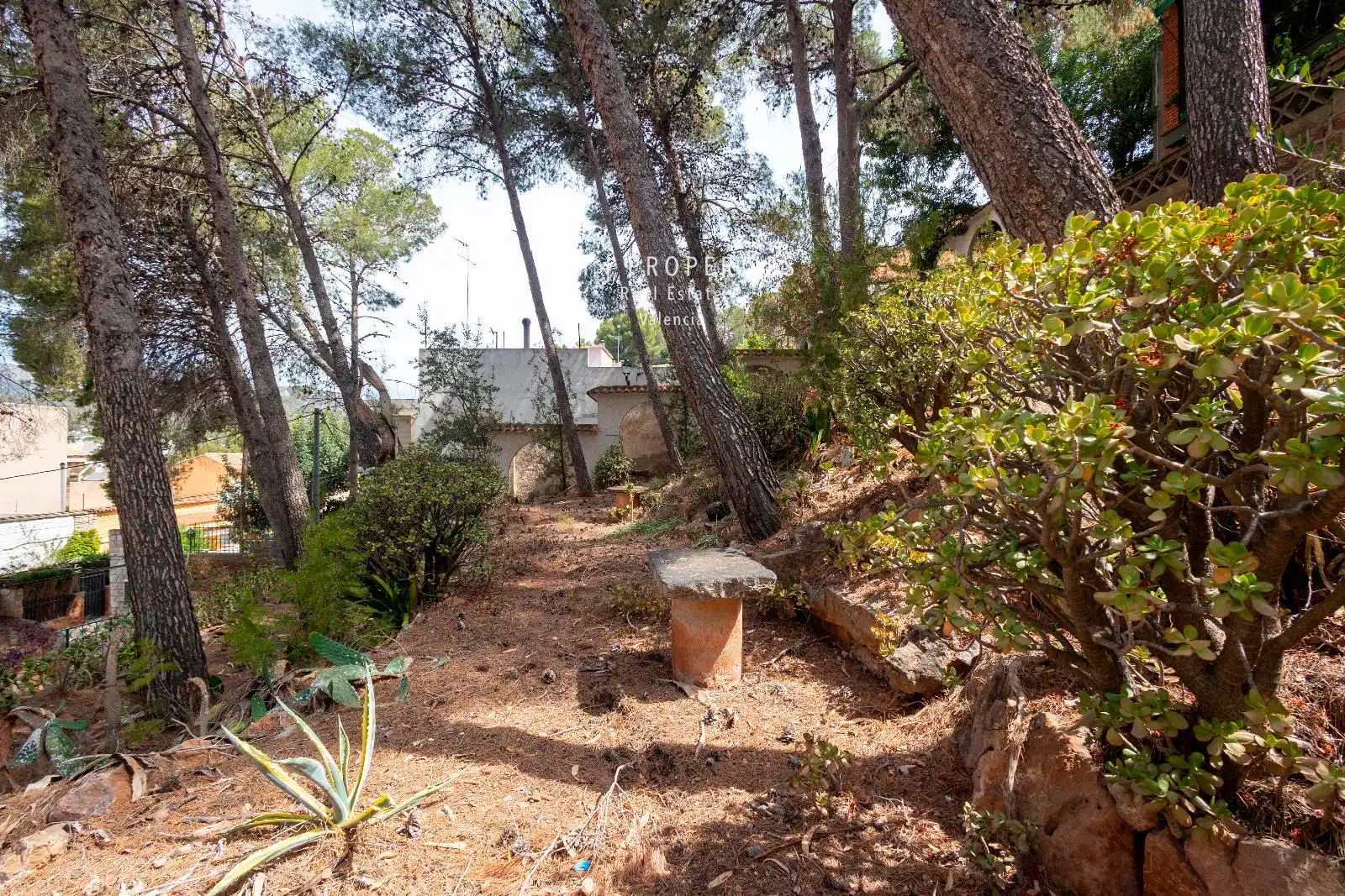 Jardín de Casa o chalet en venta en Náquera con Aire acondicionado, Terraza y Piscina