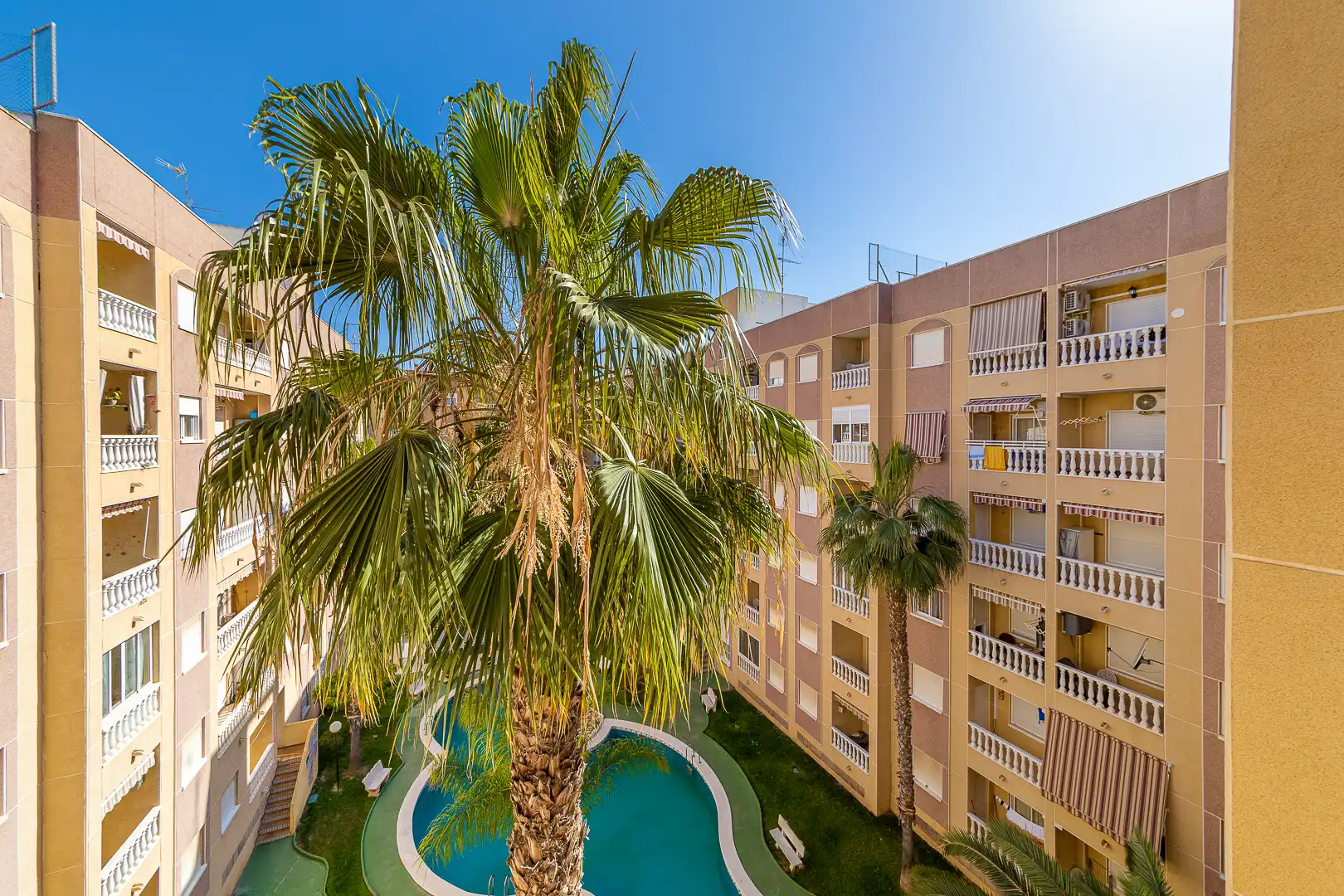 Vista exterior de Estudio en venta en Torrevieja con Terraza, Amueblado y Piscina comunitaria