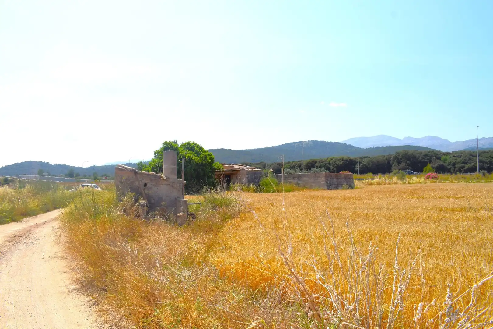 Rural land for sale in Sa Pobla, imagen 3