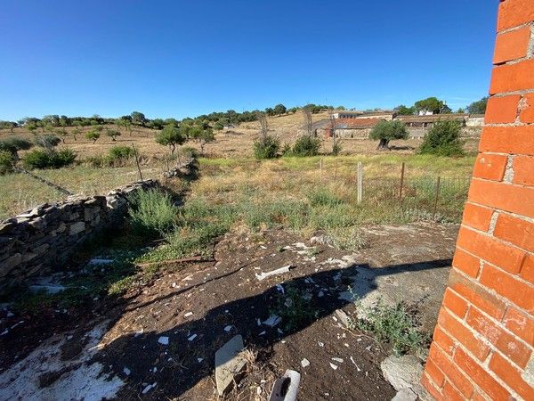 Industrial buildings for sale in La Fregeneda 
