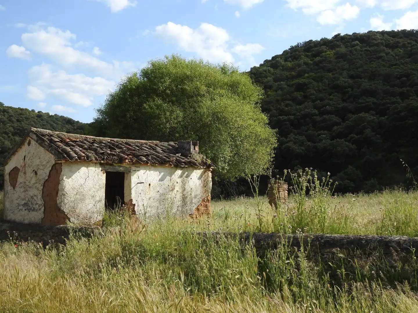 Garden of Land for sale in Belvís de la Jara