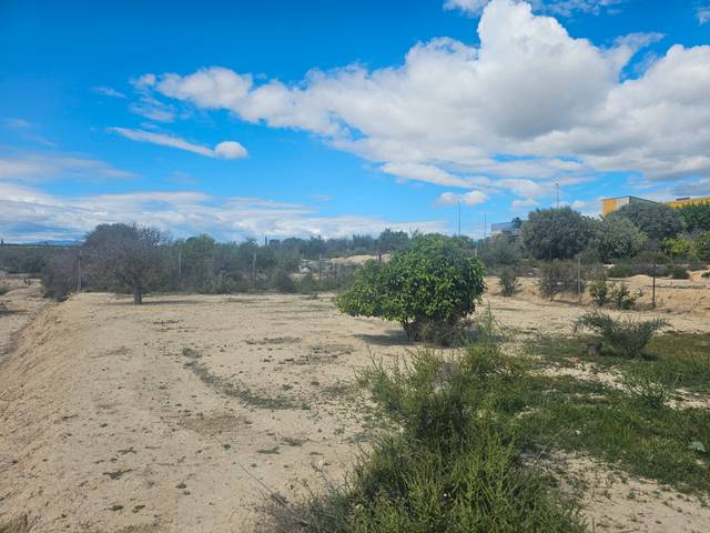 Terreno en Venta en Calle Archena, 12 en Ceutí