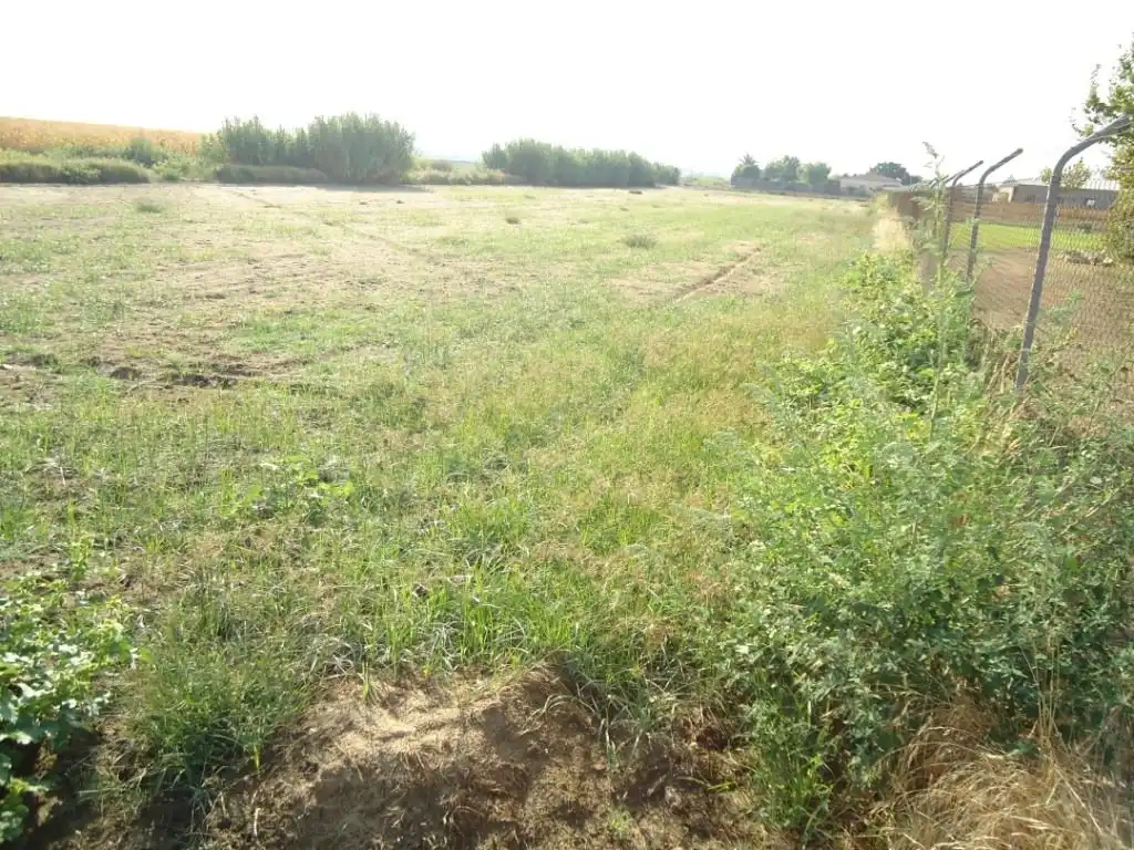Terrain rustique à vendre à Don Benito, imagen 4
