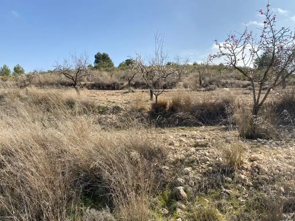 Finca rústica en venta en Jumilla con Jardín privado y Trastero