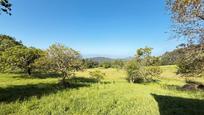 Finca rústica en venda a Geldo Auzoa Auzoa, 40, Zamudio, imagen 3