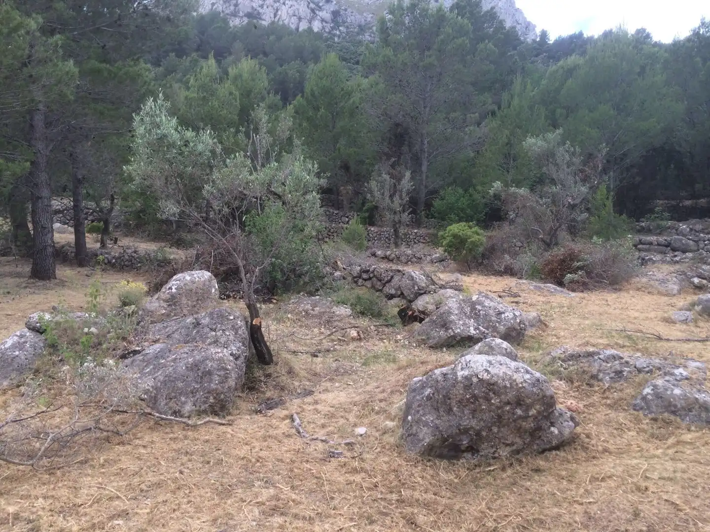 Terreny residencial en venda a La Vall de Laguar, imagen 8
