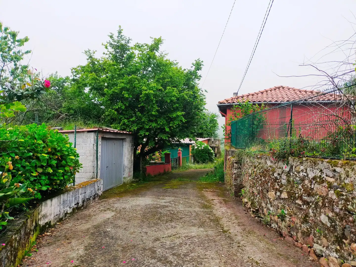 Vista exterior de Finca rústica en venta en Pravia con Jardín privado
