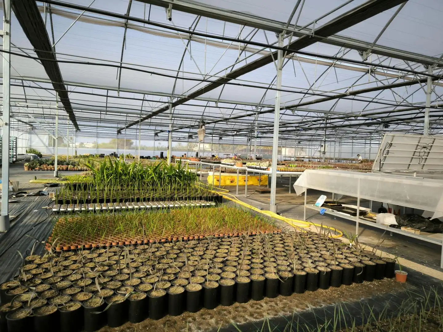 Garten von Grundstücke zum Verkauf in Elche / Elx