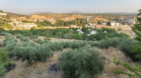 Photo 2 of Residential for sale in Calle de Granada de Iznalloz, Iznalloz, Granada