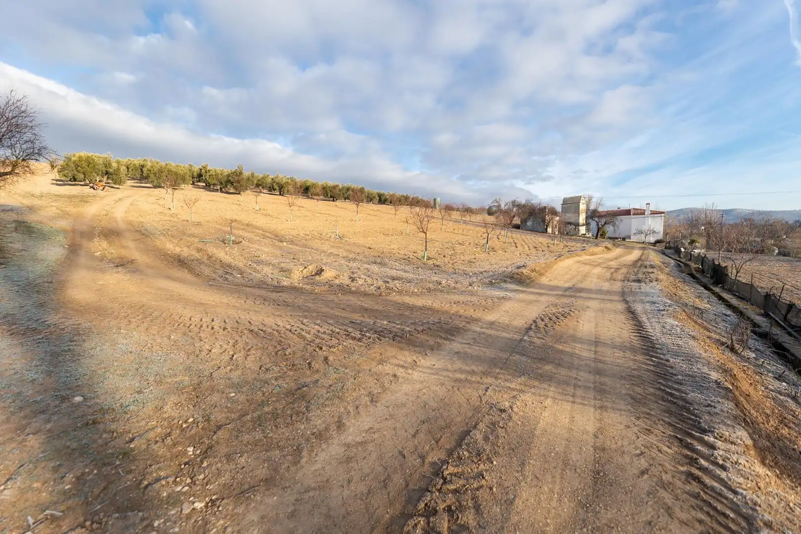 Finca rústica en venta en Píñar