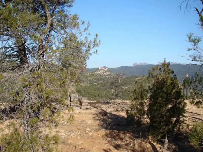 Residential land for sale in La Pobla de Claramunt, imagen 7