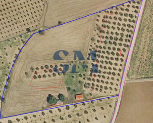 Land for sale in Polán