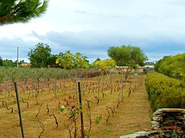 Terreno rustico in vendita a El Grao