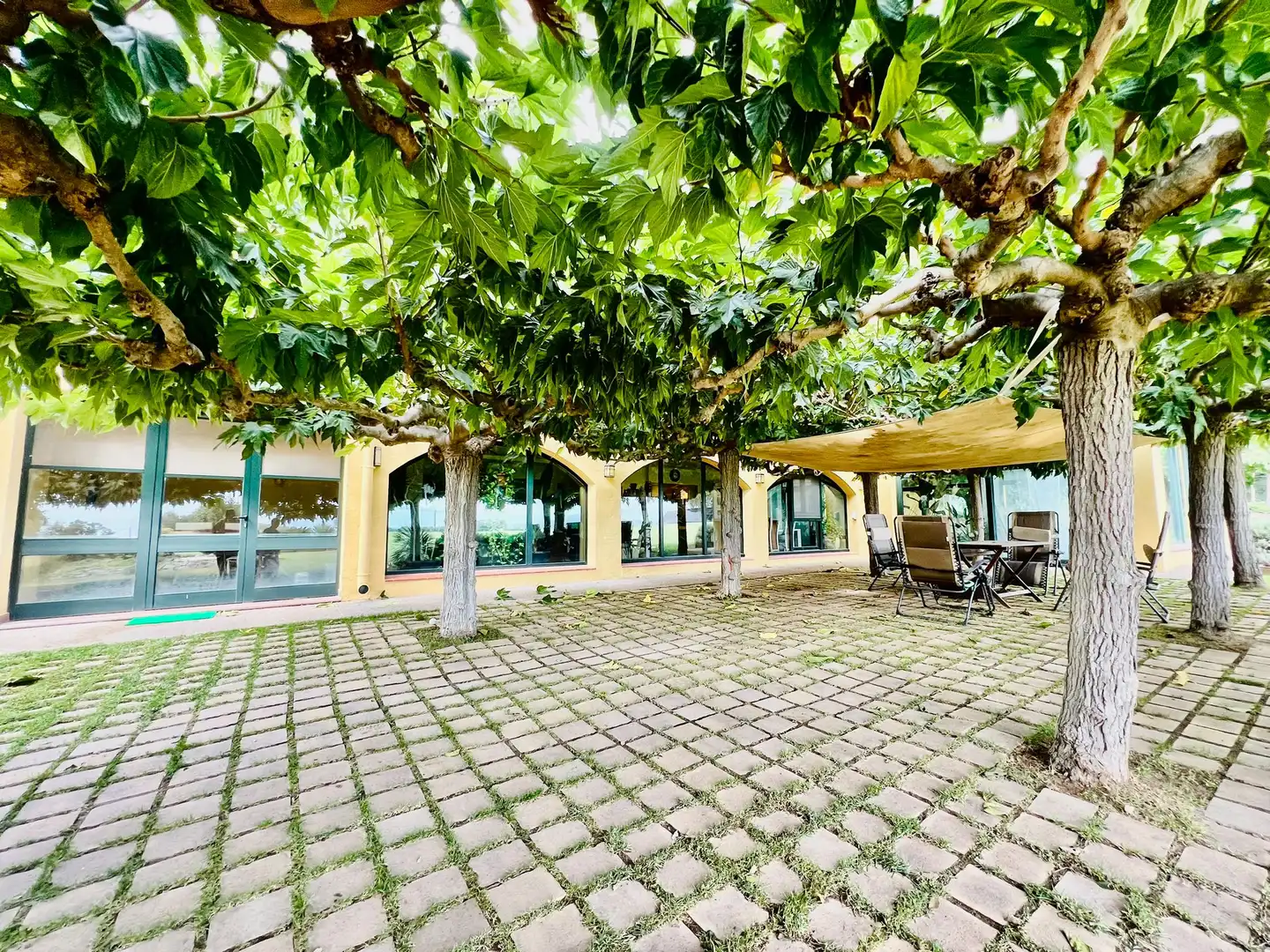 Casa o xalet en venda a Carrer Ribera, Siurana