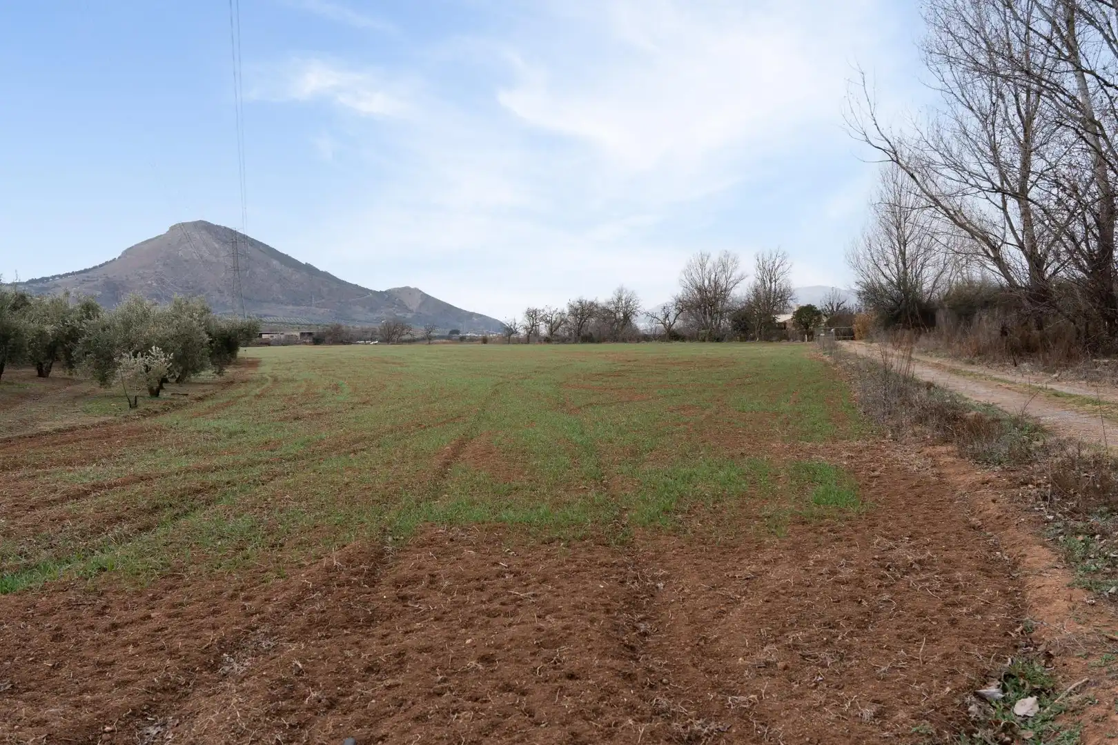 Terrenys i solars en venda a Polígono 23 Parcela 63 LA ZANJA. ALBOLOTE (GRANAD 23, imagen 18