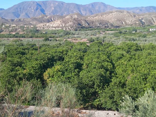 Terreno en Venta en Santa Cruz de Marchena