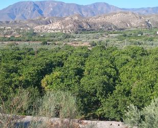 Grundstücke zum verkauf in Santa Cruz de Marchena