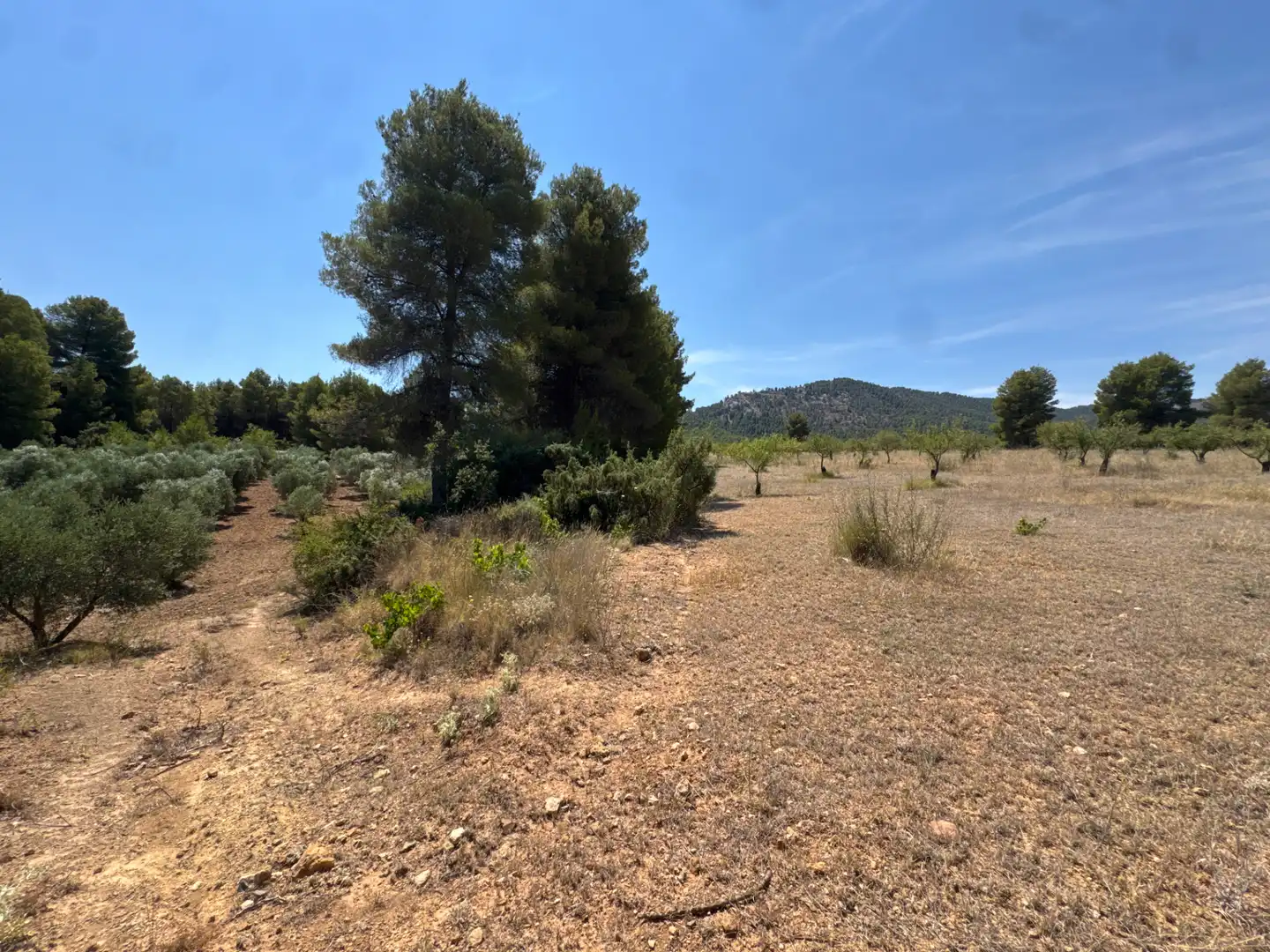 Rural land for sale in N/A, imagen 45