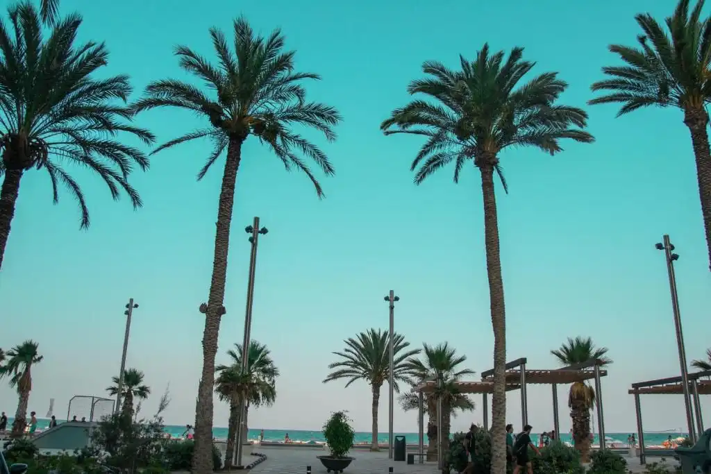 Außenansicht von Wohnungen zum Verkauf in Alicante / Alacant mit Terrasse und Balkon