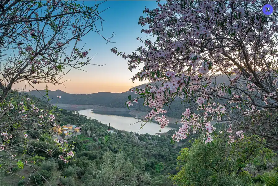 Vista exterior de Casa o chalet en venta en Istán con Aire acondicionado, Jardín privado y Piscina