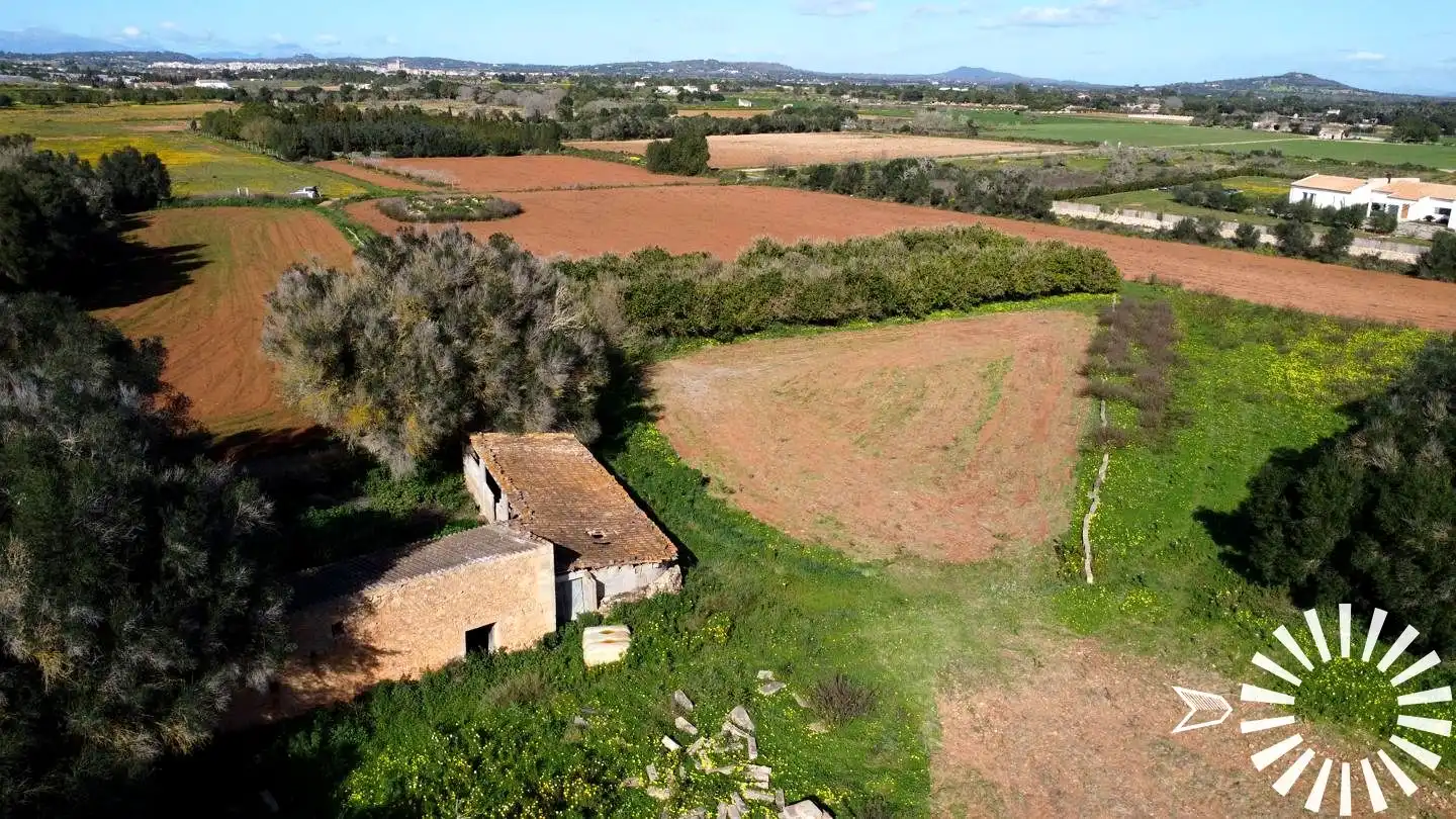Terrain rustique à vendre à Cami de Son Pau, imagen 23