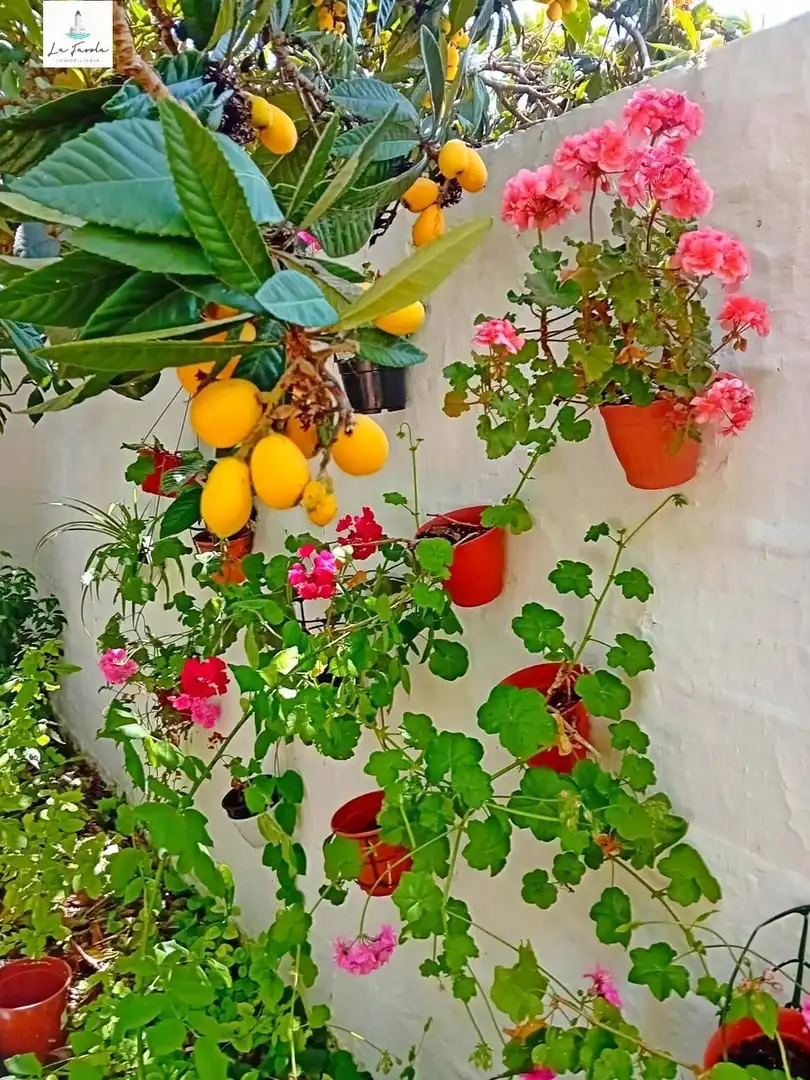 Balcony of Houses for sale in Archidona  with Private garden, Terrace and Balcony