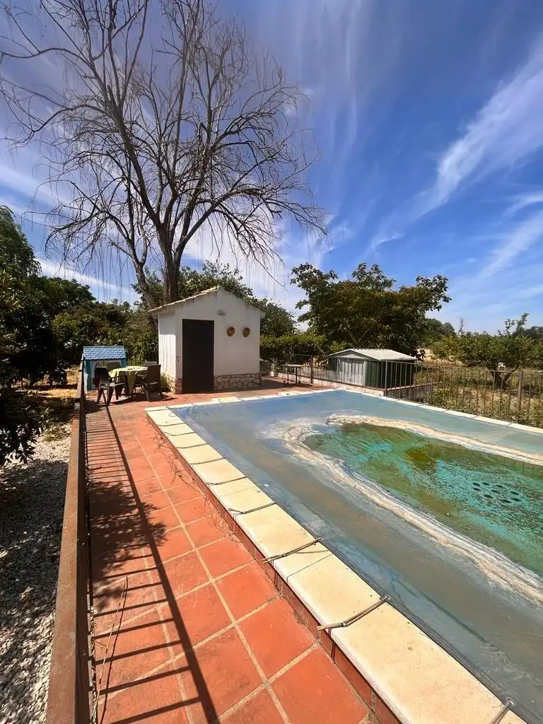 Piscina de Casa o xalet en venda en Córdoba amb Aire condicionat, Jardí privat i Terrassa