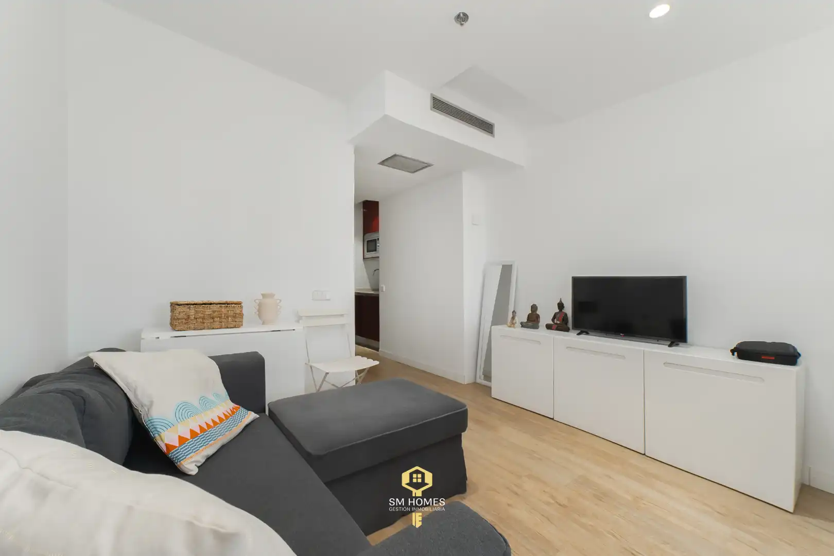 Living room of Study for sale in Madrid  with Air Conditioner, Heating and Furnished
