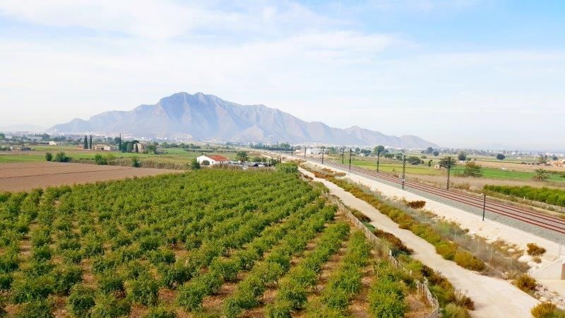 Exterior view of Country house for sale in Callosa de Segura