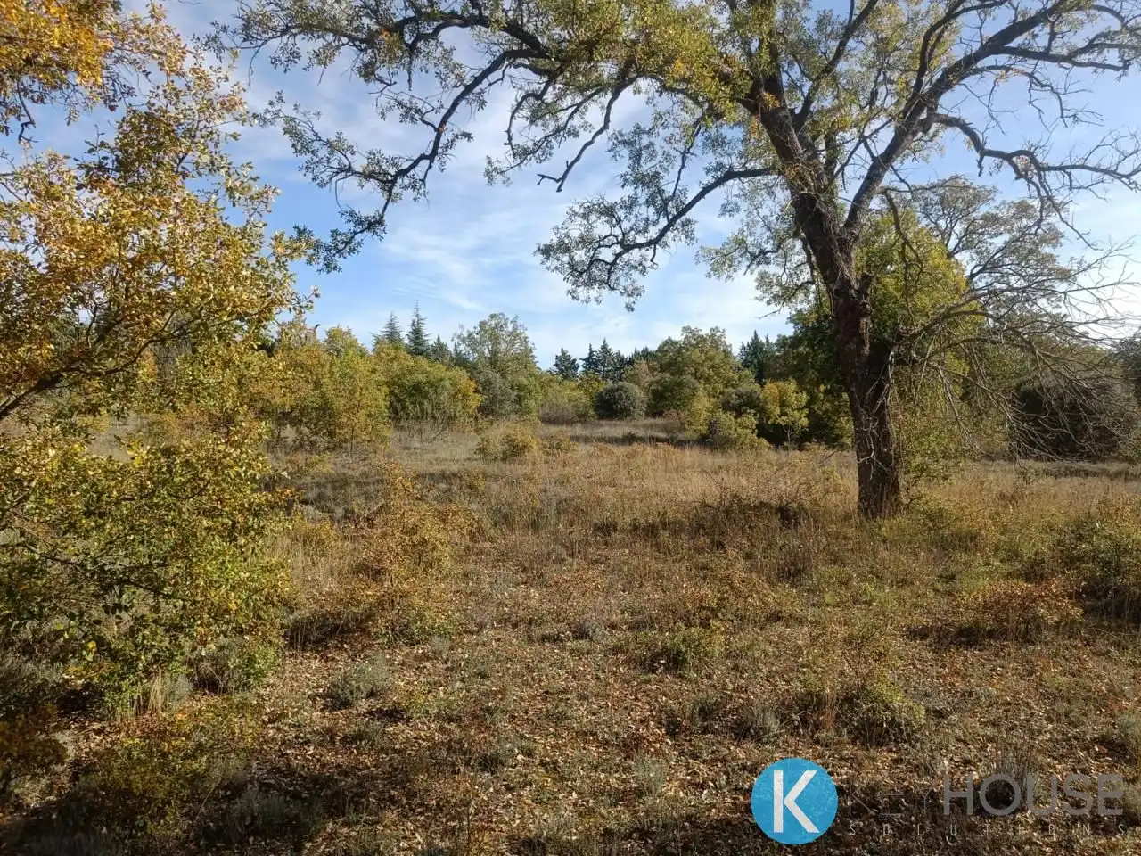 Land for sale in Pastrana